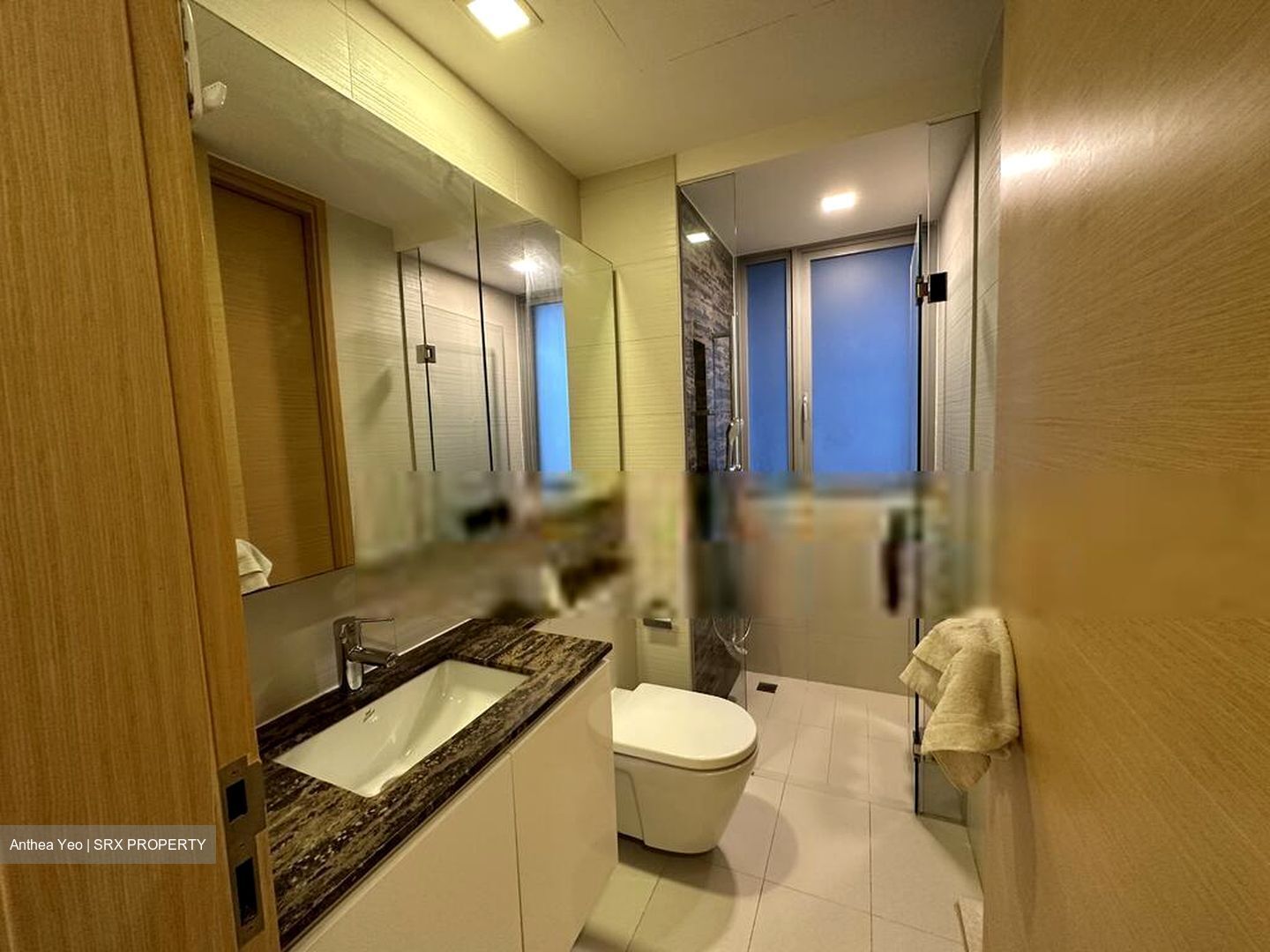 The Scala (D19), Apartment #542950341